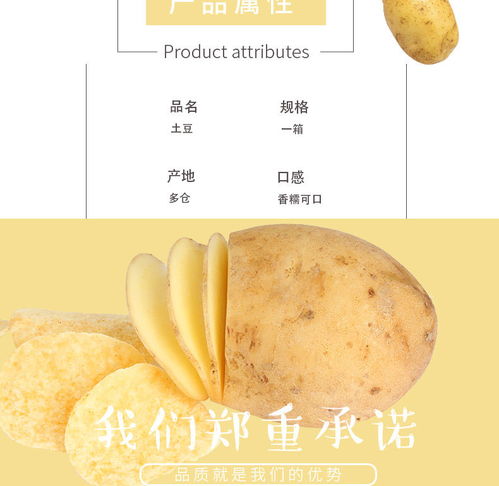 云南黃皮小土豆 現(xiàn)挖現(xiàn)賣的新鮮馬鈴薯，體驗泥土的芬芳
