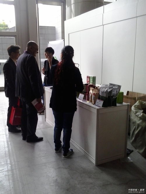 深耕教育咨詢，北京首冠國際賦能未來成長